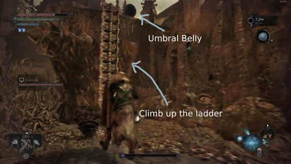 climb ladder location the empyrean lotf wiki guide 600px
