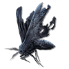 desiccated vestige moth consumables lords of the fallen wiki wide 100px