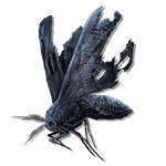desiccated vestige moth consumables lords of the fallen wiki wide 150px