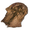 flayed skin quest item lords of the fallen wiki wide 100px