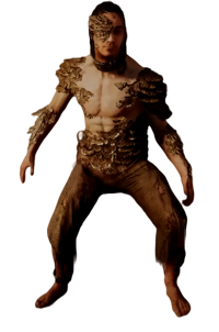 fungal bowman set lords of the fallen wiki wide 200px