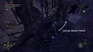 jump down location abbey of the hallowed sisters lotf wiki guide 300px min