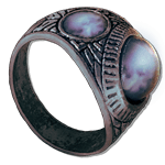 ring of shelter accessories lords of the fallen wiki wide 150px