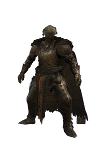 sovereign protector set lords of the fallen wiki wide 200px
