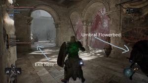 umbral flowerbed location abbey of the hallowed sisters lotf wiki guide 300px min
